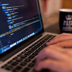 黄金网站app的趣味清单 · 排行753