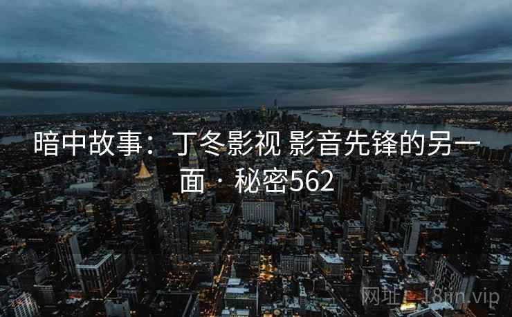 暗中故事：丁冬影视 影音先锋的另一面 · 秘密562