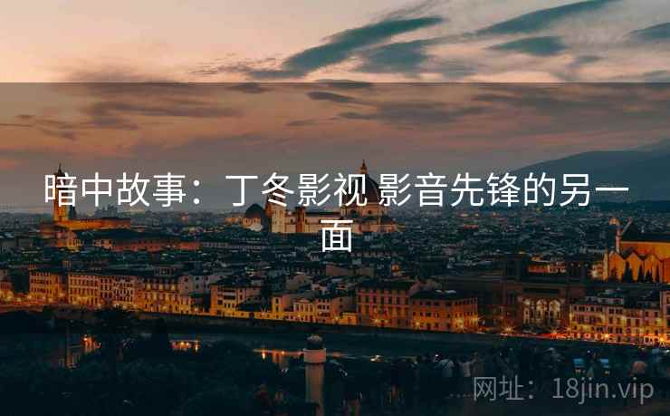 暗中故事：丁冬影视 影音先锋的另一面