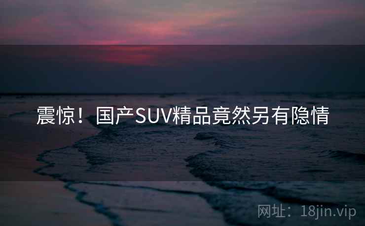 震惊!国产SUV精品竟然另有隐情
